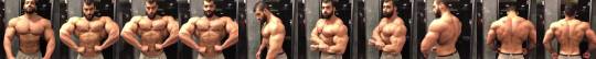 gori86musclevid:Ibrahim Sobhi