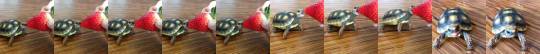 babyanimalgifs:A tiny tortoise eating a strawberry to make your day(via)