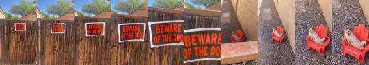 everythingfox:Beware of dog(via)