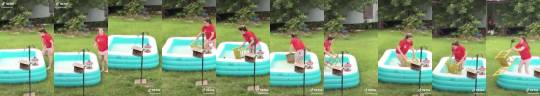 sage-nebula:actualaster:lesbyterianchurch:funny-tik-toks:Oh noThats just how squirrels areJust … flip the pool over … 