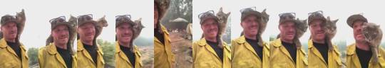 justcatposts:  A firefighter being thanked by a very friendly cat after rescuing it from a wildfire (via)