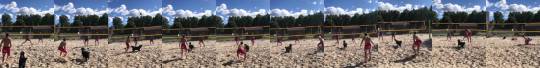 everythingfox:  “This dog playing beach volleyball is the best thing you’ll see today.”(via)