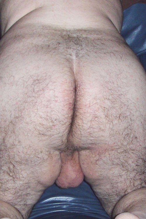 frankiemach:bobflesh:fuccoli:(via bearbulge,...