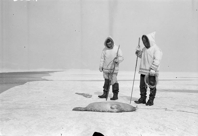 Blankwhiteandunfriendly Inuit Hunting Seal Eskimo Power