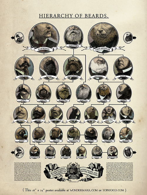 curiousnowhere:beard hierarchy. niice.