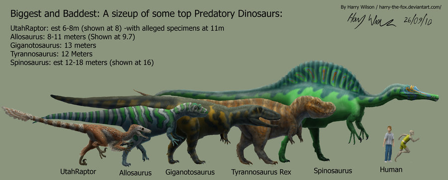 Dinosaur Size Chart