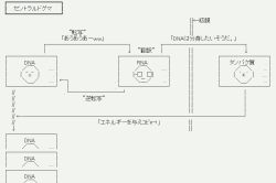 @地球儀をスライス