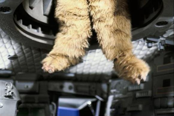 ewok big feet