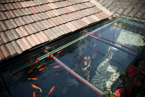 saddest-summer: "aqua roof (by * tathei *)"