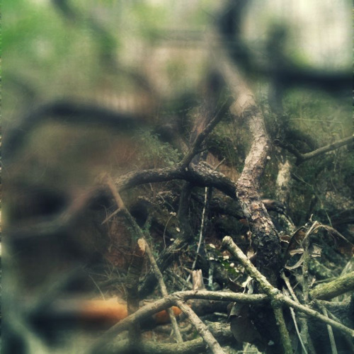 Tangled web.