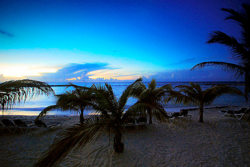 beach at night on Tumblr