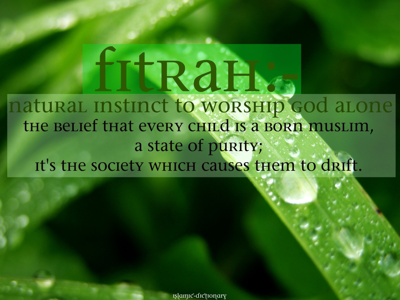 What Does Fitrah Mean