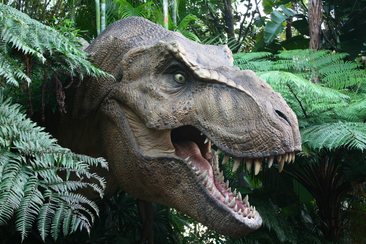 Jurassic Park- Islands of Adventure Universal... | Disney & Universal