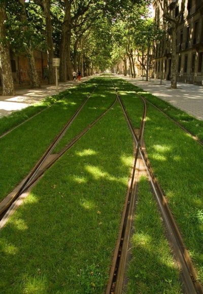 urbangreens:<br /><br /><br />Europe’s Grass-Lined Tram Tracks<br /><br />There’s something quite magical about watching trams in Barcelona, Strasbourg or Frankfurt glide silently along beds of grass as they do their city circuit. Where possible, this attractive combination of efficient public transport and inspired landscaping should be standard as part of the urban fabric. - Monocle Magazine<br /><br /><br />LOVE<br />via agpopovska: handa<br />