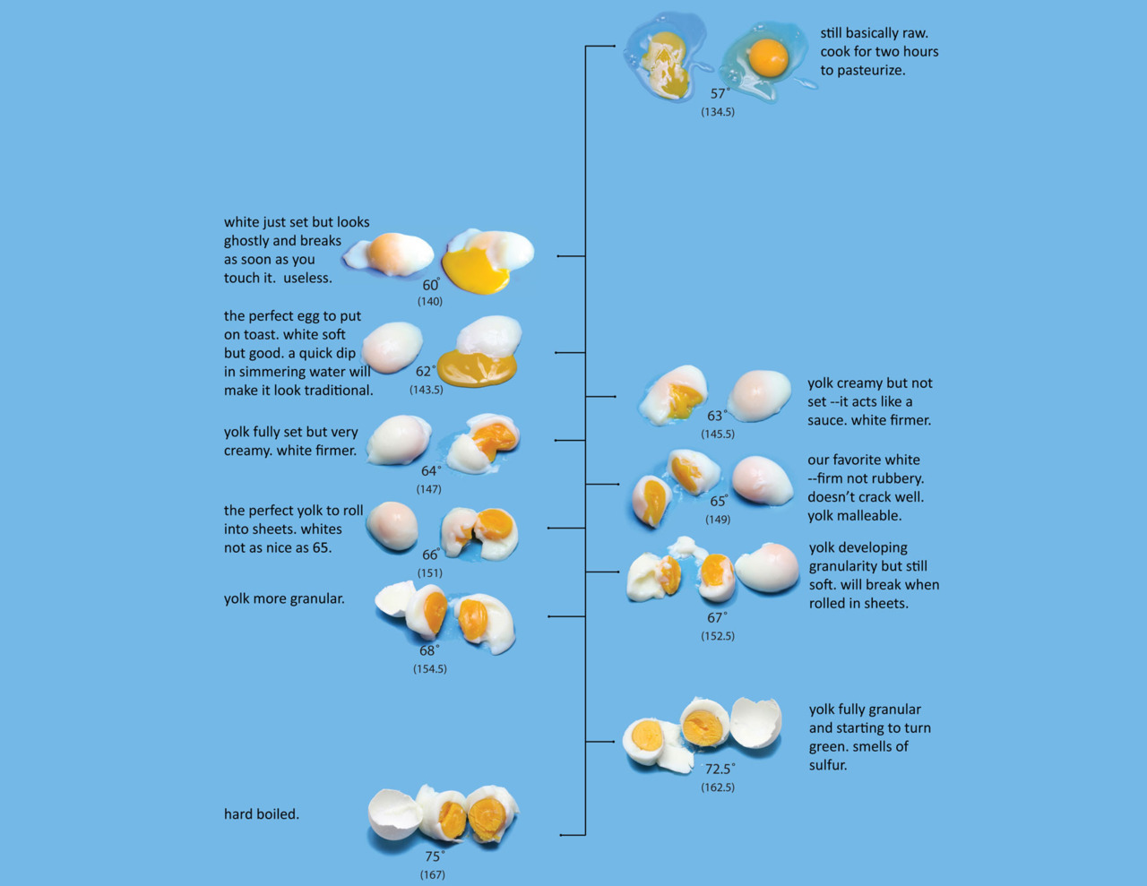 Egg Chart