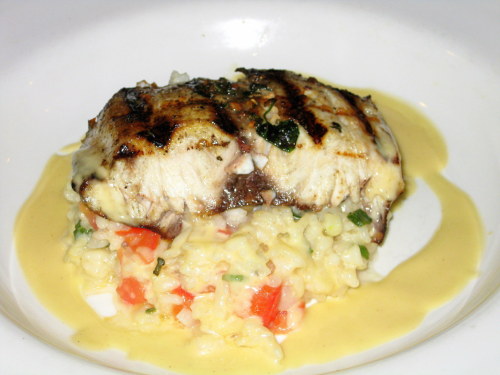CHILEAN SEA BASS with LEMON BUTTER RISOTTO -... | A.T.E - All Things