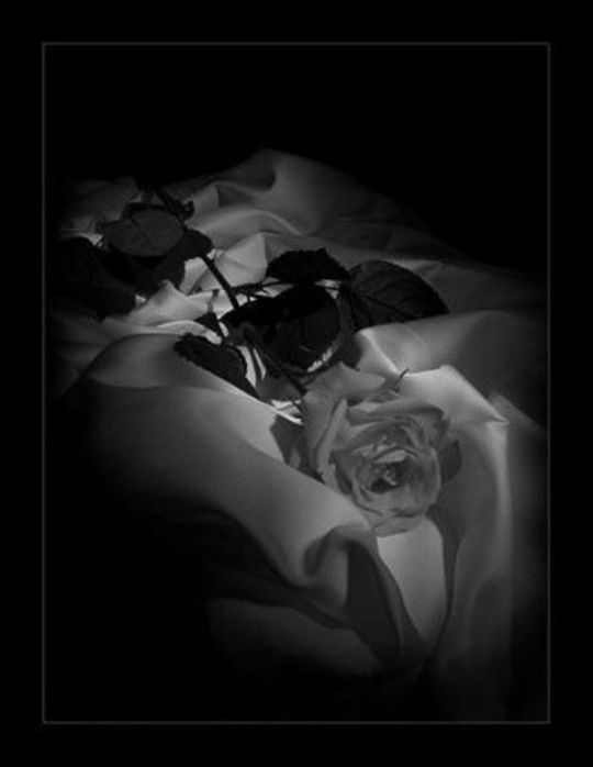 Blanco § Negro y Color - Página 32 Tumblr_llgrijO1ws1qec8j0o1_540