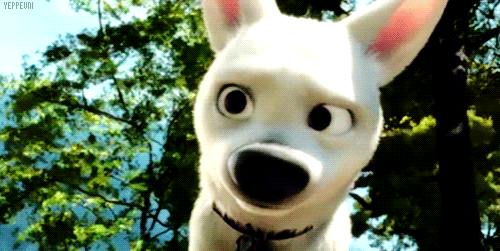 bolt super cão filme desenho orelhas animais