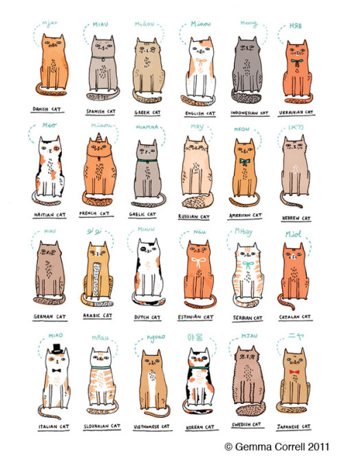 daughterofacatlady