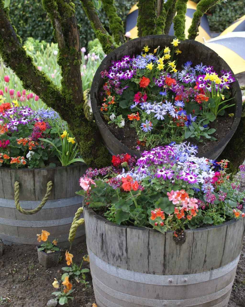 Wine Barrel Planters Flower Garden Idea | 21 Ways to Reuse A Barrel On Your Homestead