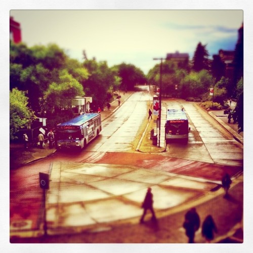 University Transit Center LRT/Bus (Taken with Instagram at...