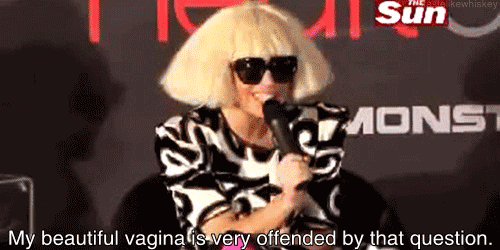tumblr_lnh5cblGDW1qcuk4to1_500.gif