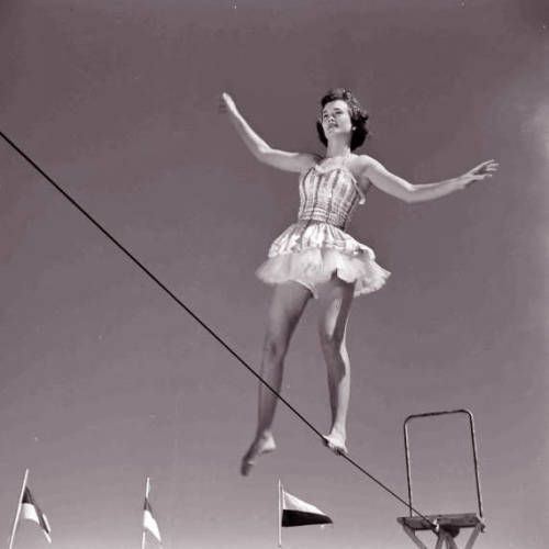 tightrope-walker-on-tumblr