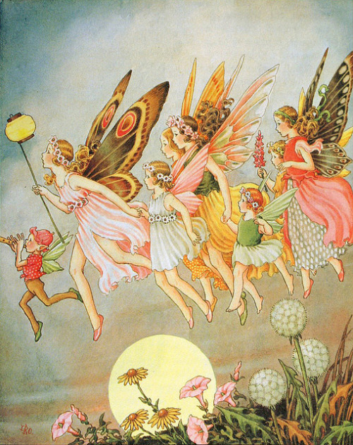 obsessedwithfairytales:by Ida Rentoul Outhwaite