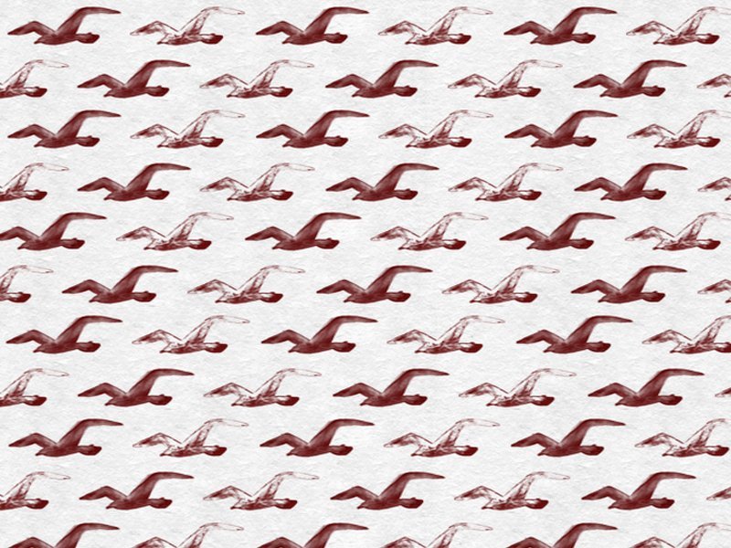 hollister cork