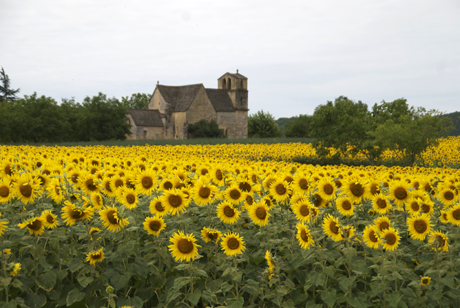 poorwayfaring-s-t-r-a-n-g-e-r:French Countryside