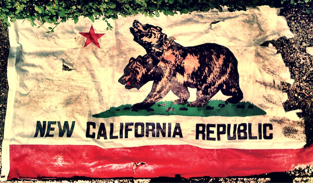 Калифорнийская республика. Флаг новой калифорнийской Республики. Флаг НКР. New California Republic Flag. NCR флаг.