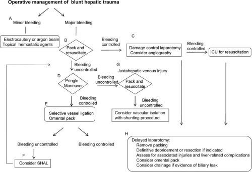 The Trauma Professional's Blog