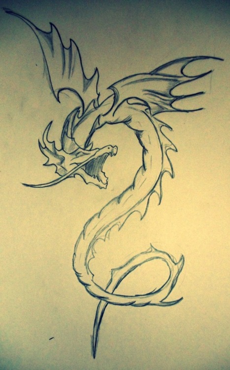 dragon drawing on Tumblr