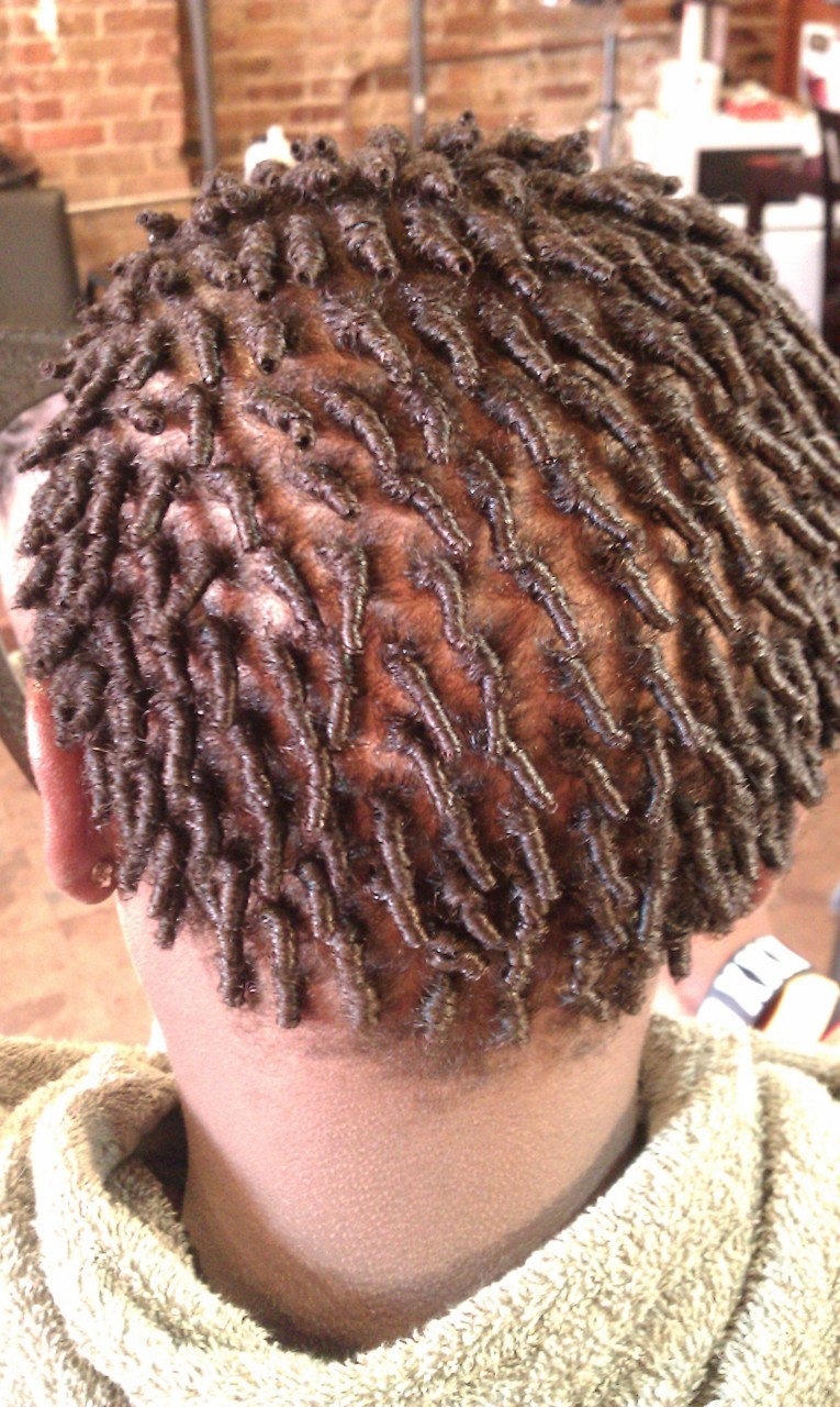 Natural Artistry Chi My New Buddy Sammie And His Comb Coil Twists