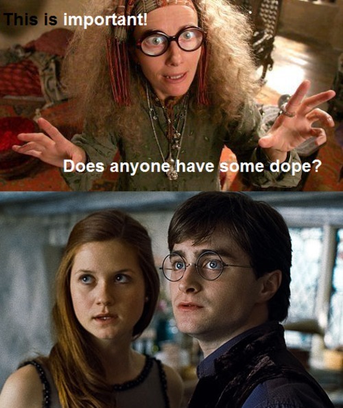 Funny Harry Potter Captions