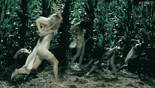 tumblr_lq2949jWeC1qawvk0o1_r1_500.gif