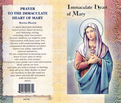 immaculate heart of mary on Tumblr