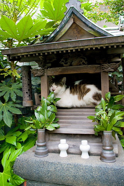 thekimonogallery:amnemonic:ねこ＠ふたばSmall personal Shinto...