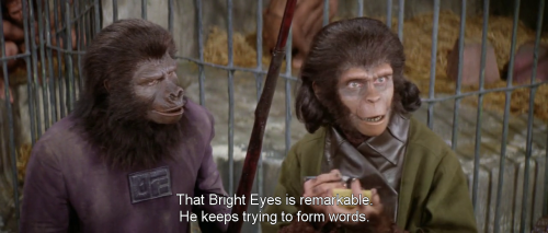 Planet Of The Apes 1968 Tumblr