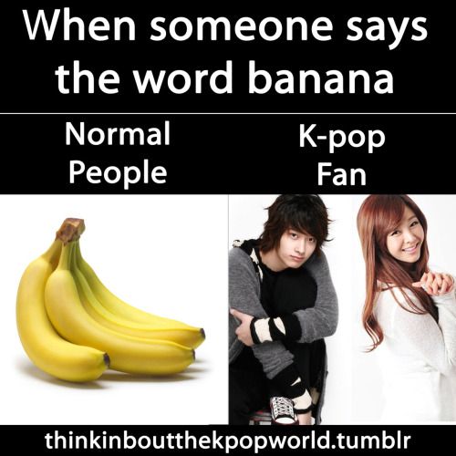 Normal ppl vs Kpop fan What they think about 