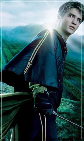 Who doesnt like boys? - Cedric Diggory