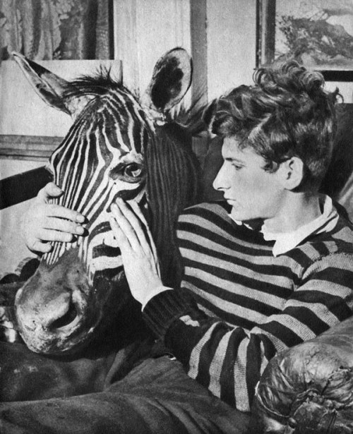 hottiesofarthistory:Lucien Freud with a Zebra.I think I broke...