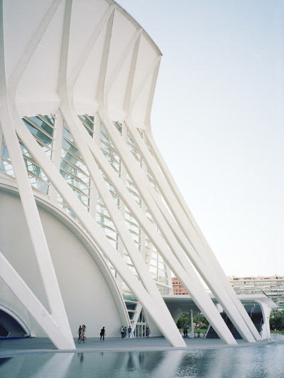 cjwho:<br /><br />Príncipe Felipe Science Museum / SANTIAGO CALATRAVA ~ http://bit.ly/qrUZye<br />