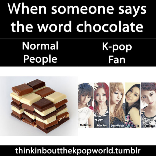 Normal ppl vs Kpop fan What they think about 