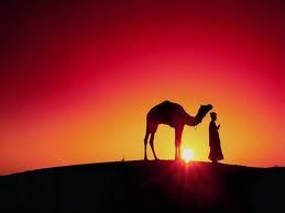El camello
“¡Al ladrón, al ladrón!” Gritaba Nasrudin. “¿Qué te pasa?”, le dice un vecino. “Que me han robado el camello”, responde desconsolado Nasrudin. “¡Pero si no tenías camello”. “Claro que no, pero es que el ladrón no lo sabía…”