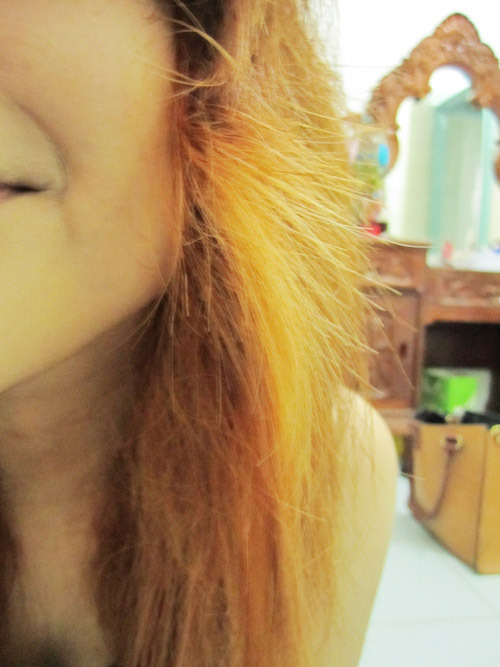 Tumblr
