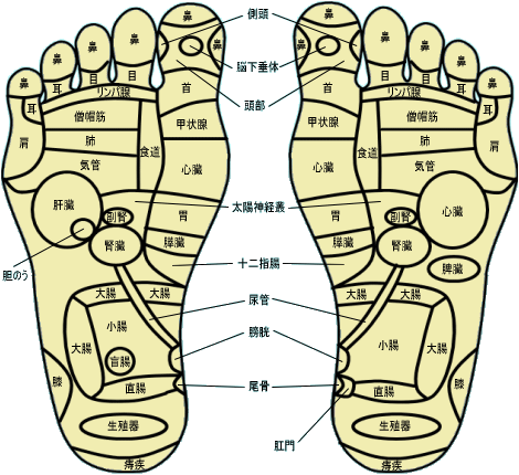 Japan Image 足 ツボ 図解