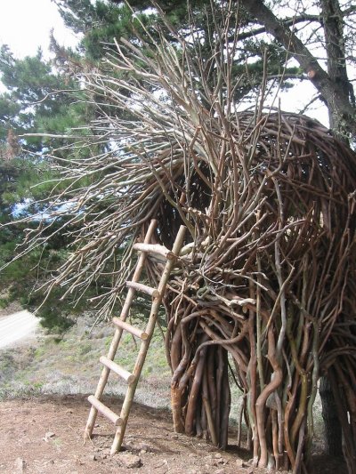 Unique Tree House - Imagine this on a starry summer night