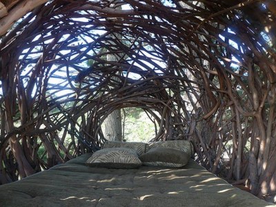 Unique Tree House - Imagine this on a starry summer night