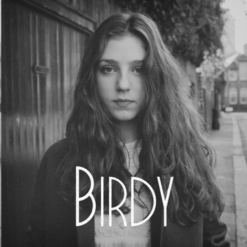 birdy shelter notea birdy shelter notea